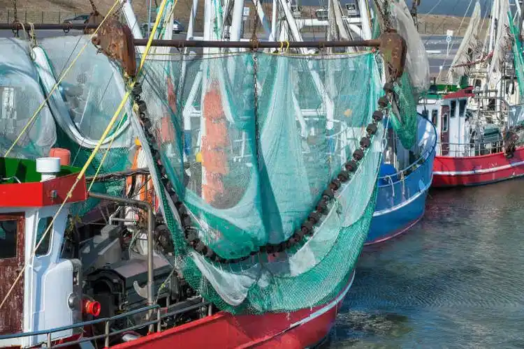 捕鱼用的大鱼网