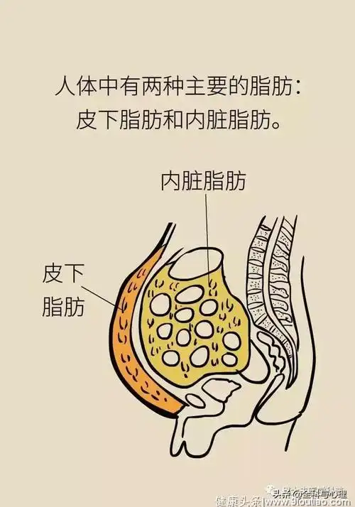 年后减肥!十大妙招去除肚子里的脂肪!