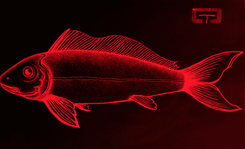 鱼彩色fish动画gif动图_动态图_表情包下载_soogif