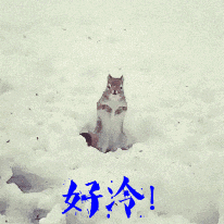 我好冷啊表情包 - 我好冷啊微信表情包 - 我好冷啊qq表情包 - 发表情