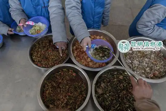 有肉有蛋,拘留所里的伙食很不错