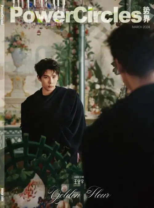 王安宇金色奇遇维也纳大片