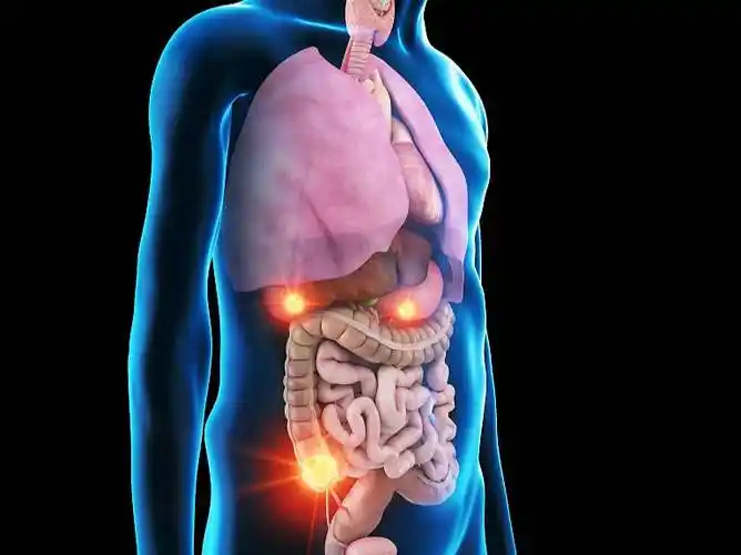 天天看健脾的文章你真知道什么时候才要健脾吗别乱来