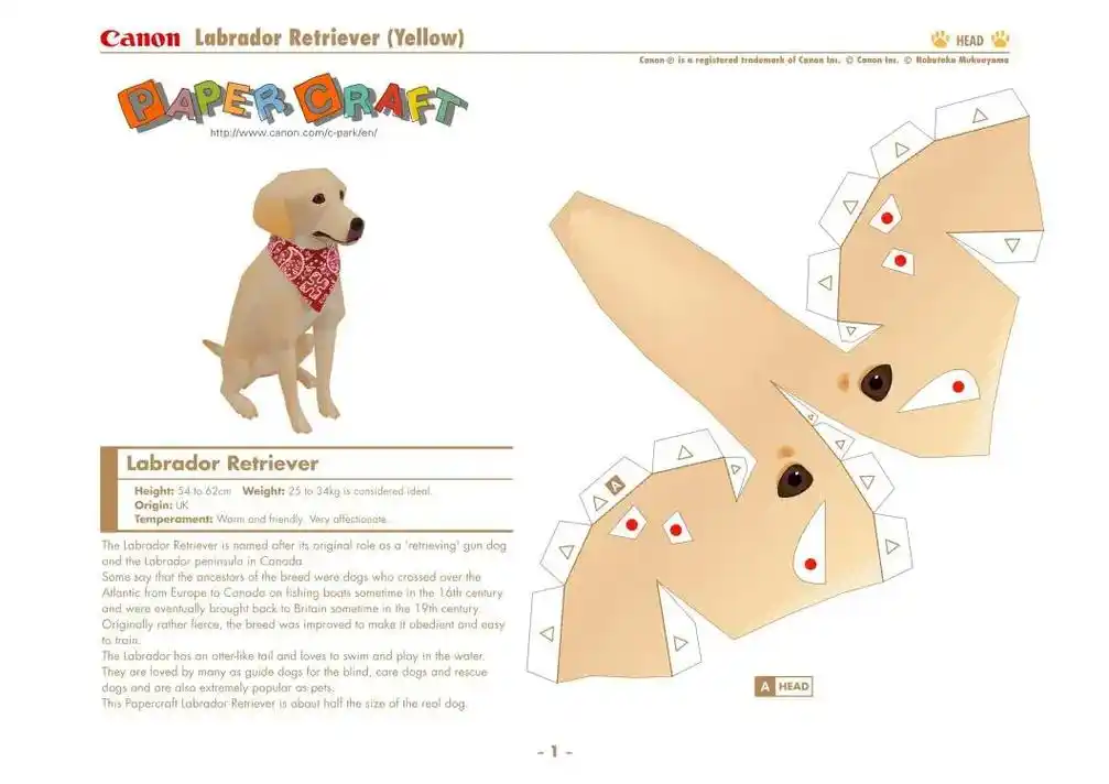 纸模#纸模天堂#手工 拉布拉多 手工 纸模 纸模图纸 那么 - 抖音