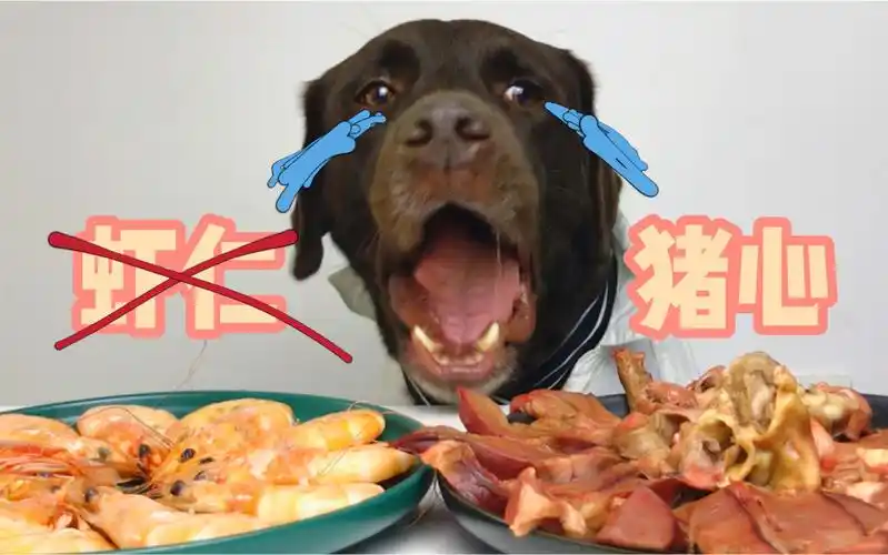 活动  虾仁猪心,安排上了!然鹅.