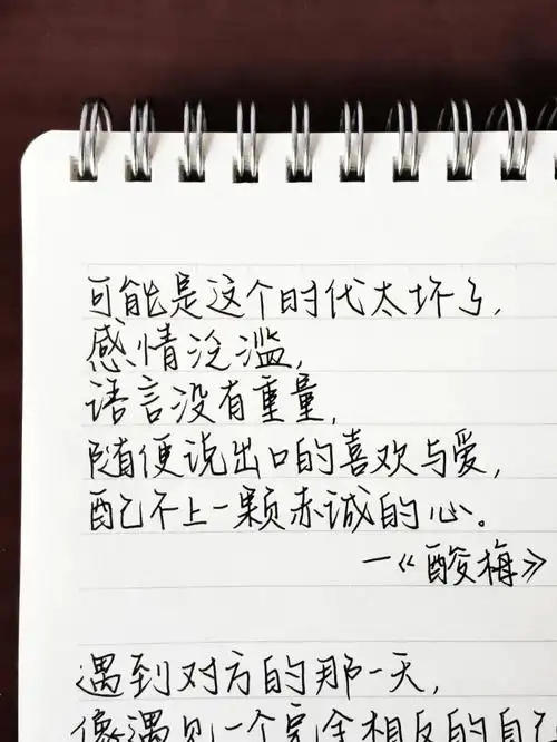 酸梅书摘字体打卡78