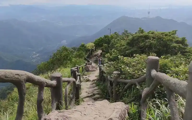 一镜到底带您看深圳最高山梧桐山好汉坡
