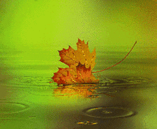 233_191gif 动态图 动图