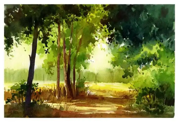 水彩风景 手绘 插画 阳光明媚的田野树林