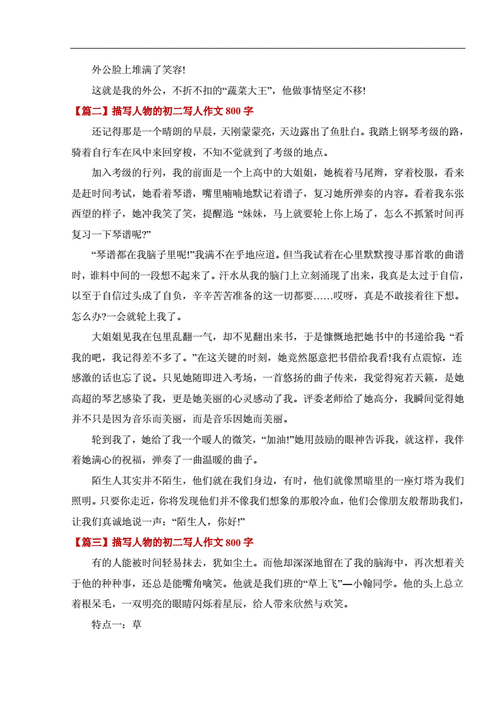 描写人物的初二写人作文800字docx4页