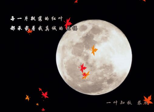 求枫叶飘落的动态图片