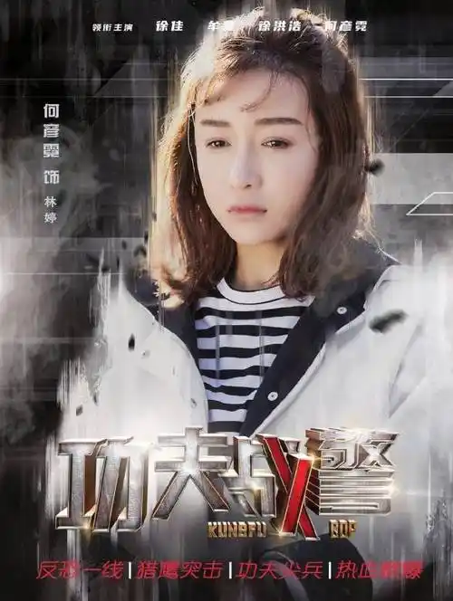 功夫战警演员表_功夫战警角色_功夫战警人物角色关系 -首映网