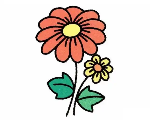 菊花彩色漂亮菊花的画法教程简笔画