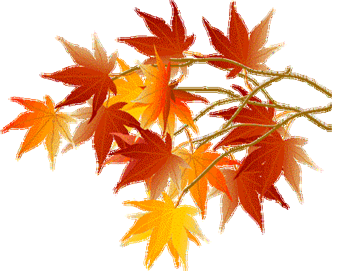 500_400gif 动态图 动图