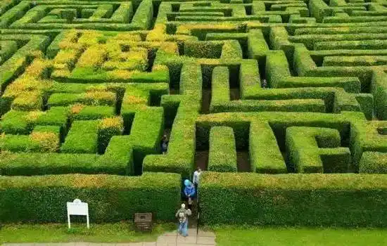 世界最神奇的18个迷宫,看完后整个人都震惊了