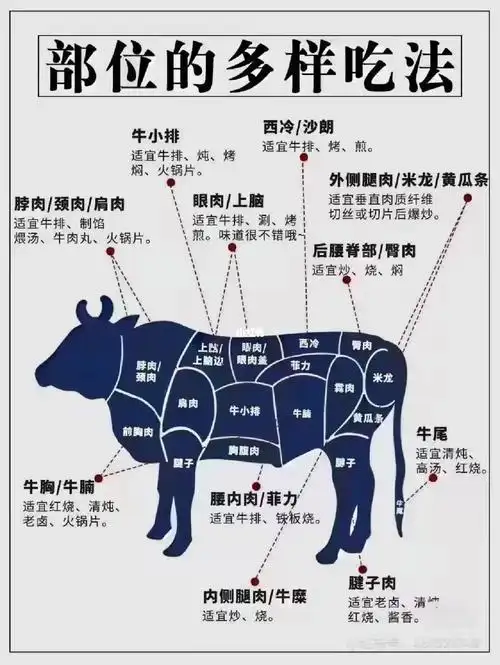 全牛部位的多样吃法