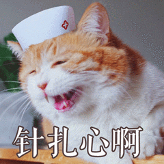 最期待的就是当家里的猫大人看到自己的"江山"不见之后的表情了吧