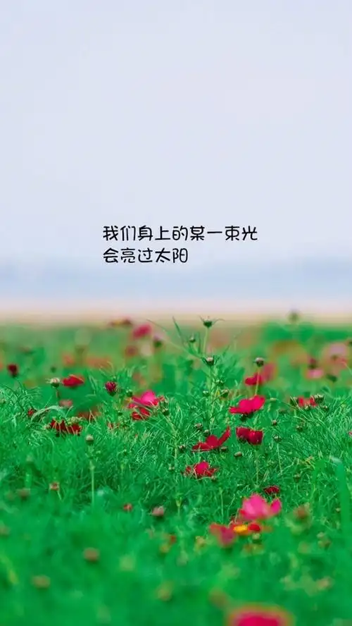 唯美文字心情图片高清手机壁纸