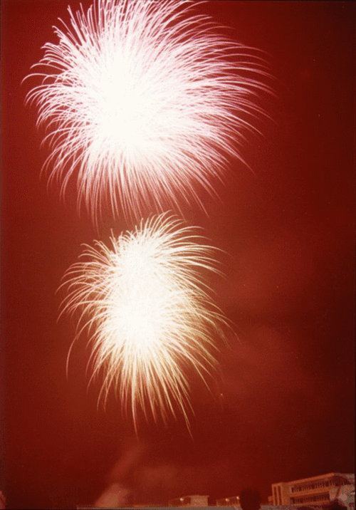 559_800竖版 竖屏gif 动态图 动图