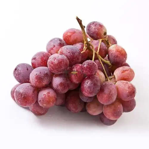 本年度秘鲁鲜食葡萄出口再创新纪录