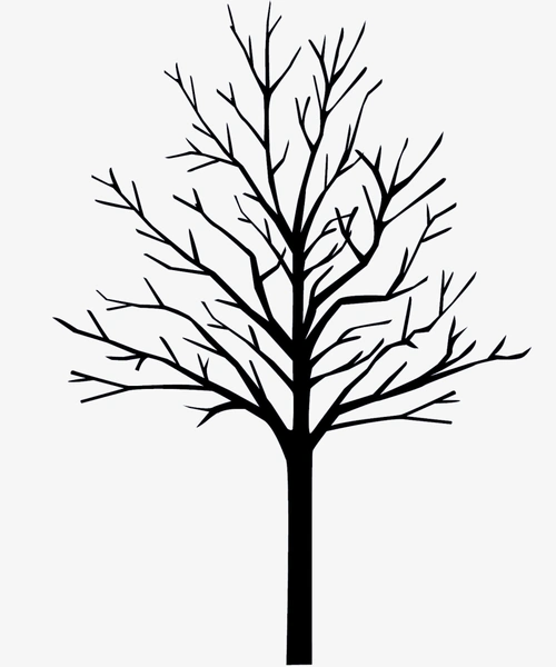 黑色树枝剪影干枯