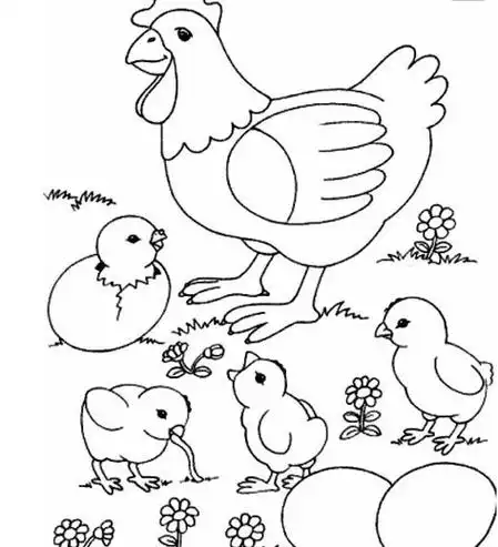 儿童画图片小鸡儿童绘画图集阳光下的小熊简笔画图片小熊儿童绘画图集