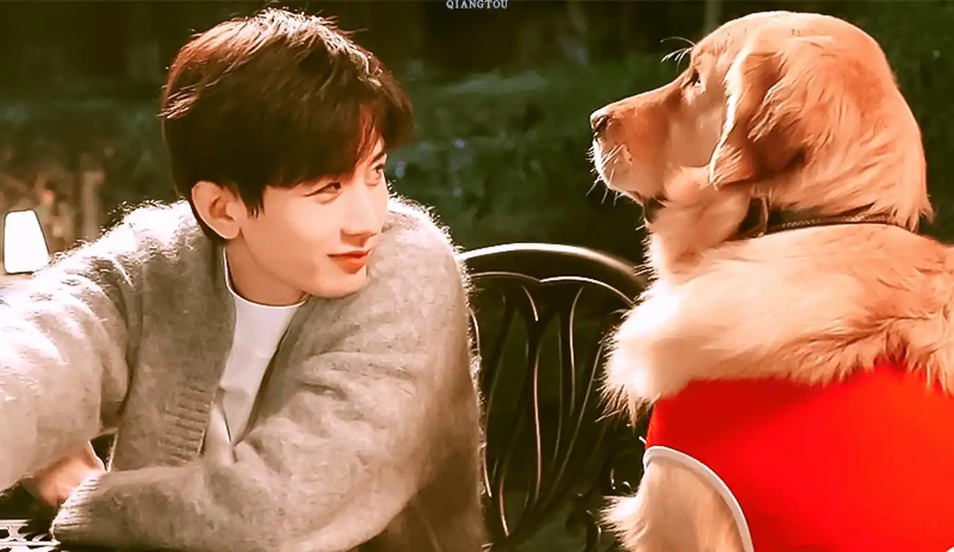 成毅张予曦南风知我意9月备播#   尊嘟假嘟,再传下去,大家是又双叒信