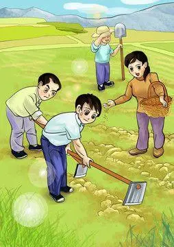 农民不种地能指望谁