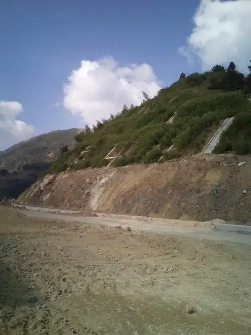 供应江苏南京鼓楼区公路边坡生态保护专用绿化草种草籽哪里有卖