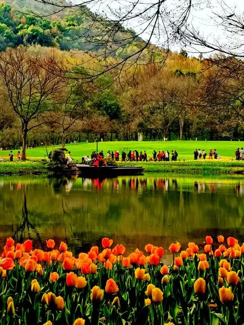 春光明媚的杭州太子湾公园