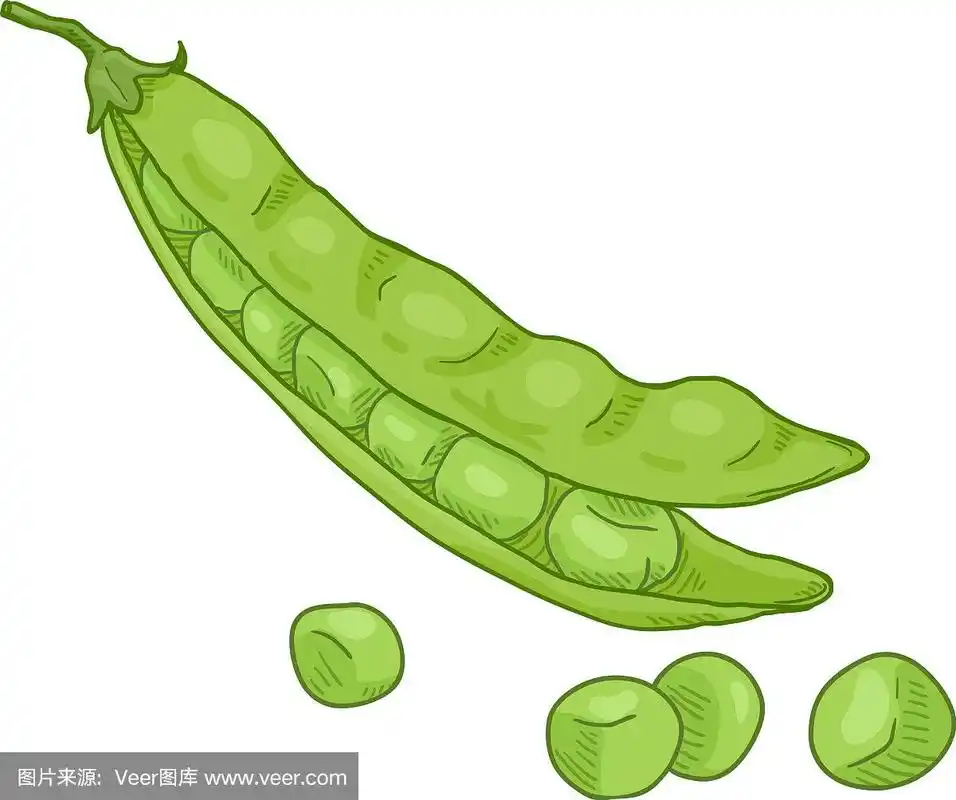 卡通绿豌豆荚