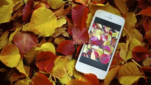 iphone手机设备高清苹果手机广告图片桌面壁纸1