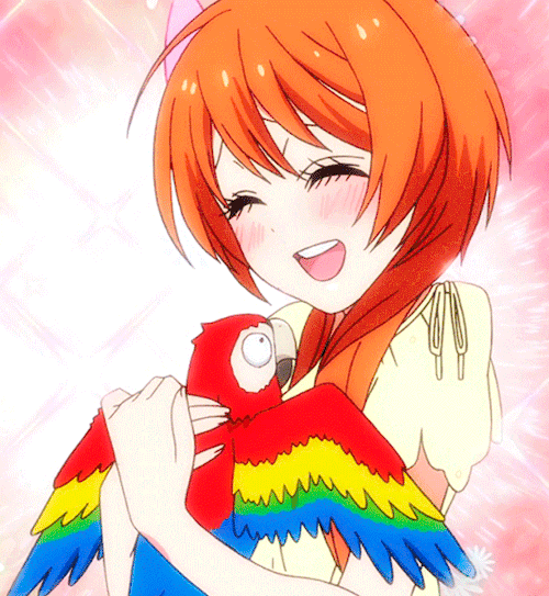 500_543gif 动态图 动图