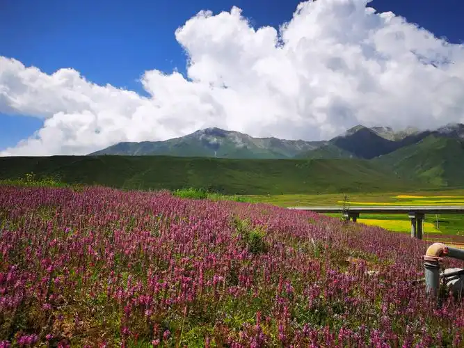 青海西宁格尔木之旅