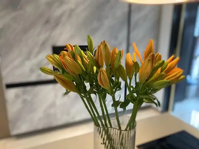 红宝石百合家庭办公室瓶插花橙色桔亚百生日礼物同城鲜花速递