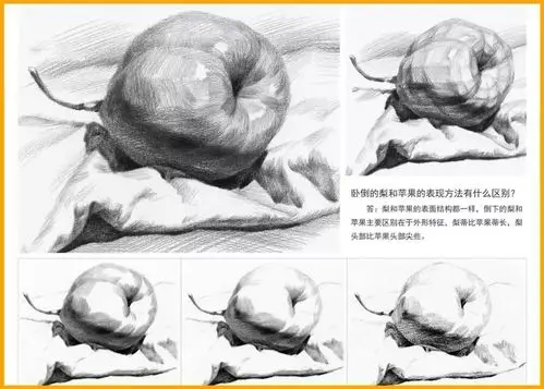 素描中常见的水果蔬菜画法步骤图非常详细一看就会