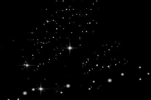 500_330gif 动态图 动图