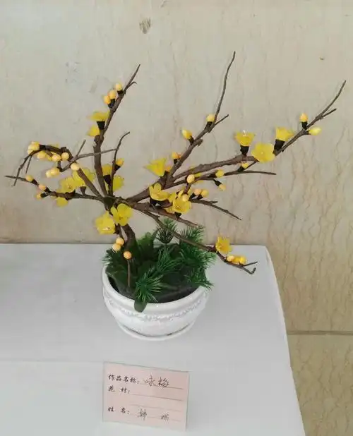 韩琪丝网花2017年10月在镇江老年大学展出 美篇制作:朱福兴