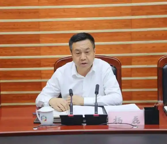 副市长,市国家卫生城市巩固提升工作领导小组副组长杨磊出席会议并