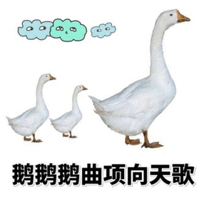 给大佬下毒表情包 - 表情图