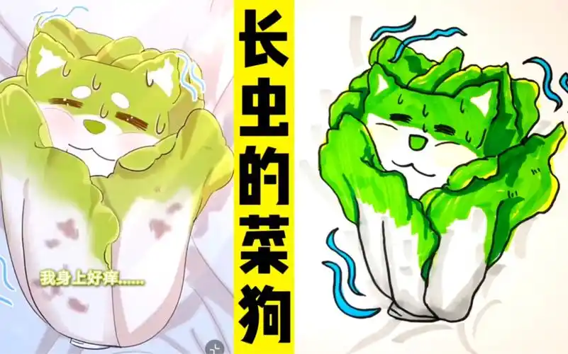 看动画,画动画人物:可爱的小菜98