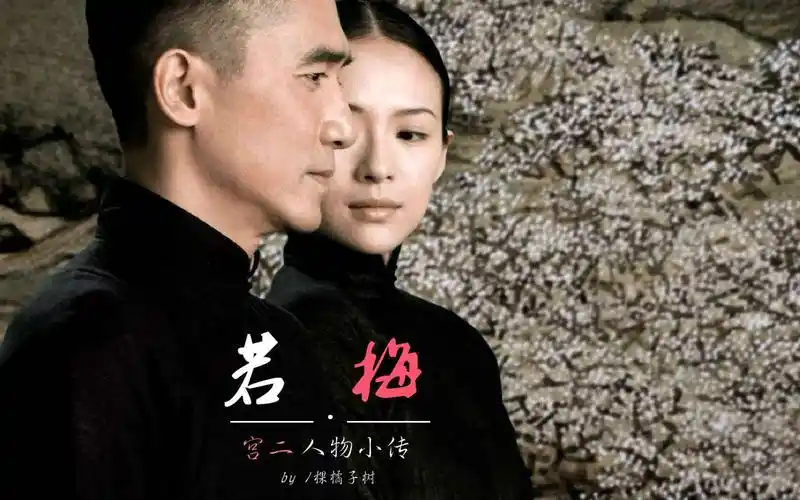 【宫二x叶问】/【章子怡x梁朝伟】一代宗师·宫二小传---若梅