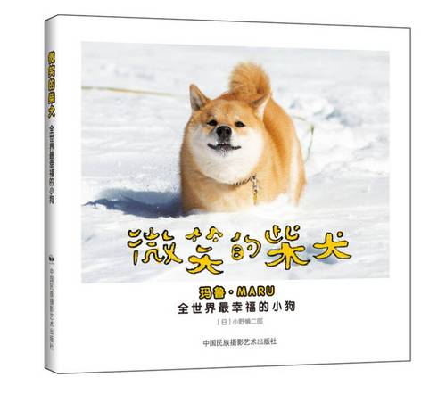 微笑的柴犬 全世界最幸福的小狗