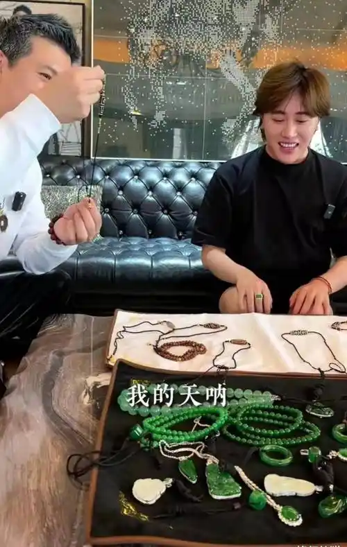 明星杨子拍视频晒出价值不菲的十眼天珠,表示比李连杰的贵10倍_先生