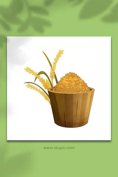 稻谷水稻谷堆谷粒大米包装元素插画