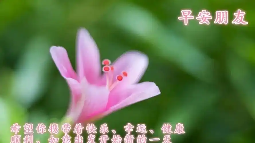 早上好唯美祝福壁纸图片带字感悟人生的早安哲理句子