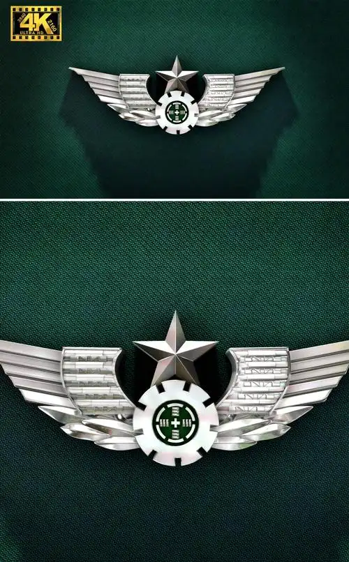【4k】陆军标志流光