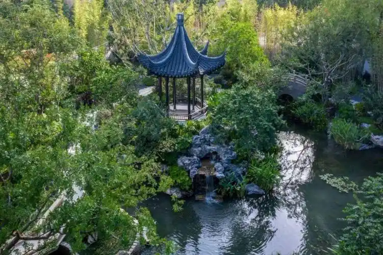 超赞的庭院景观设计!_东方园林_空间_绿色植物