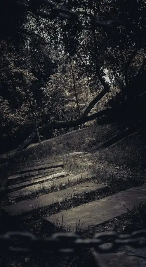 一组暗黑系森林调色的乌鲁木齐水磨沟公园