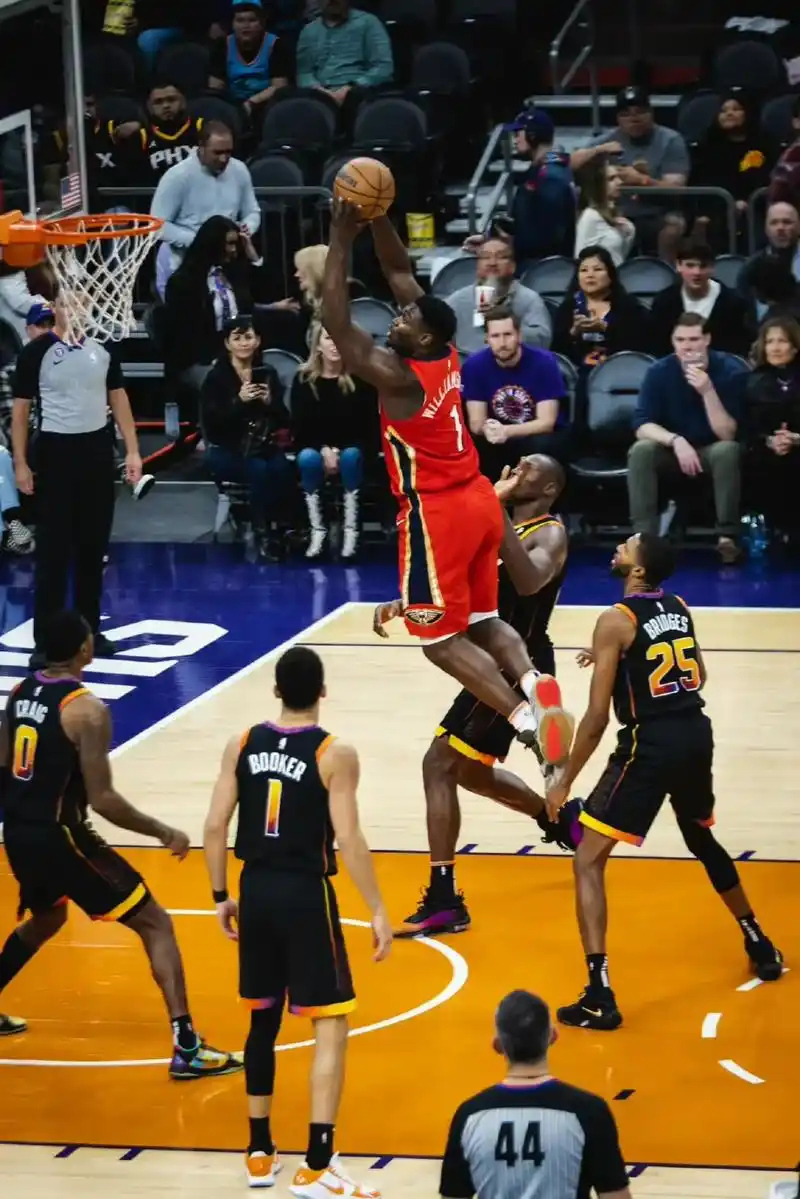 zionwilliamson胖虎又进化了